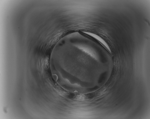 X0000099530127200805231111