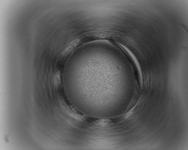 X0000099530128200805231111