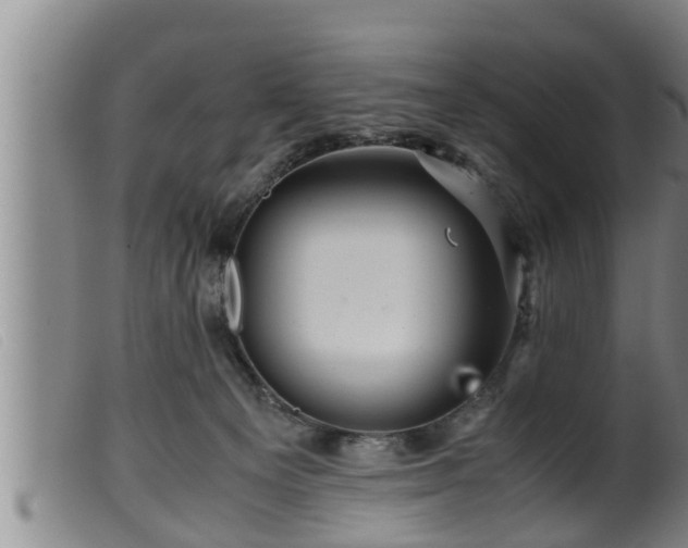 X0000099530129200805231111