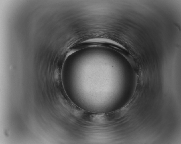 X0000099530132200805231111