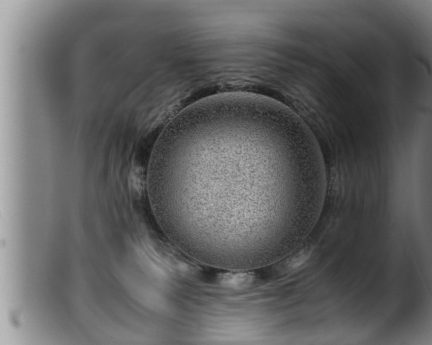 X0000099530135200805231111