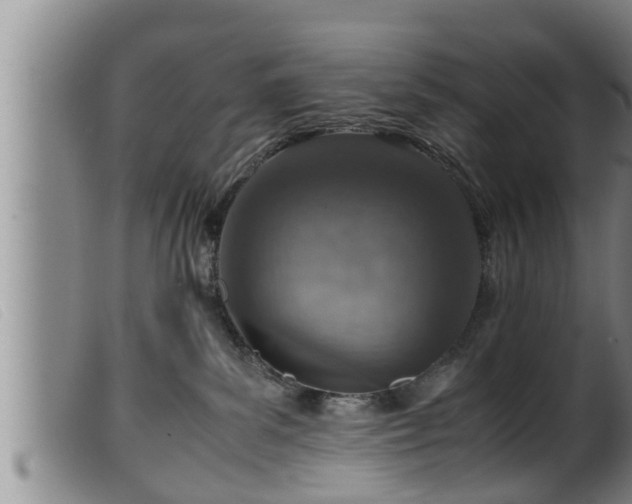 X0000099530139200805231111