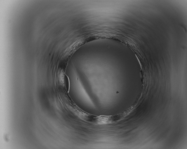X0000099530143200805231111