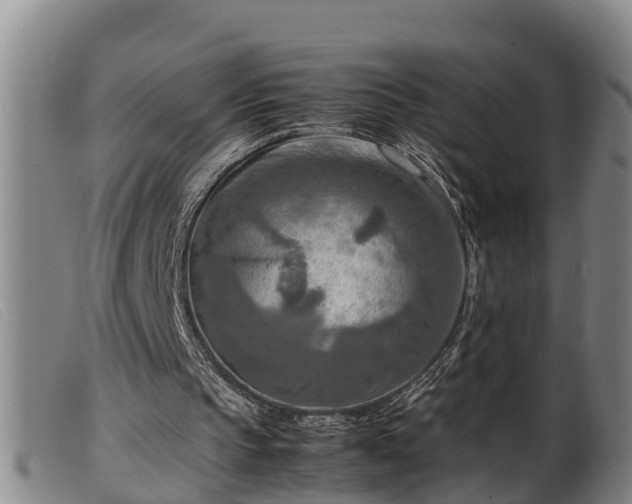 X0000099530145200805231110