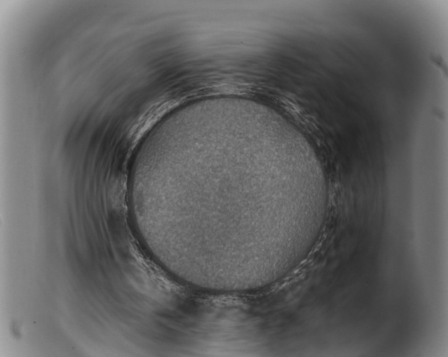 X0000099530146200805231110