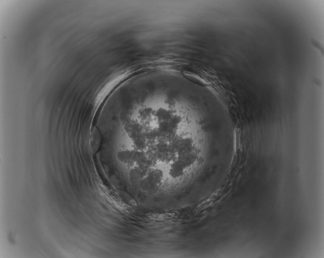 X0000099530147200805231110