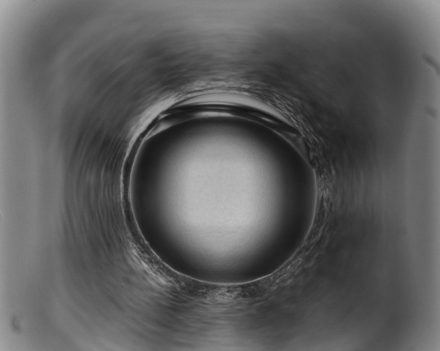 X0000099530148200805231110