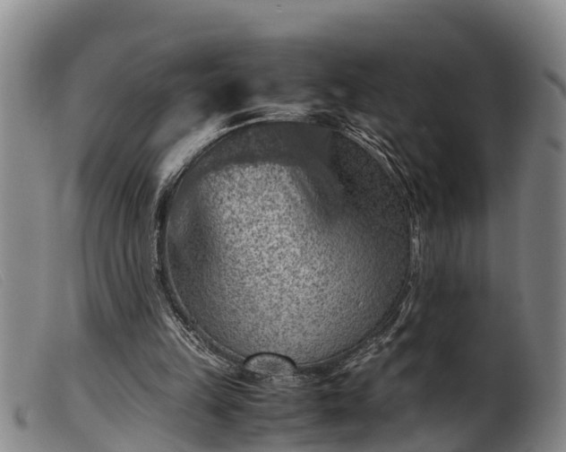 X0000099530149200805231110