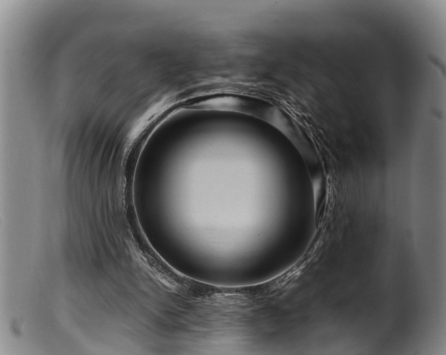 X0000099530150200805231110