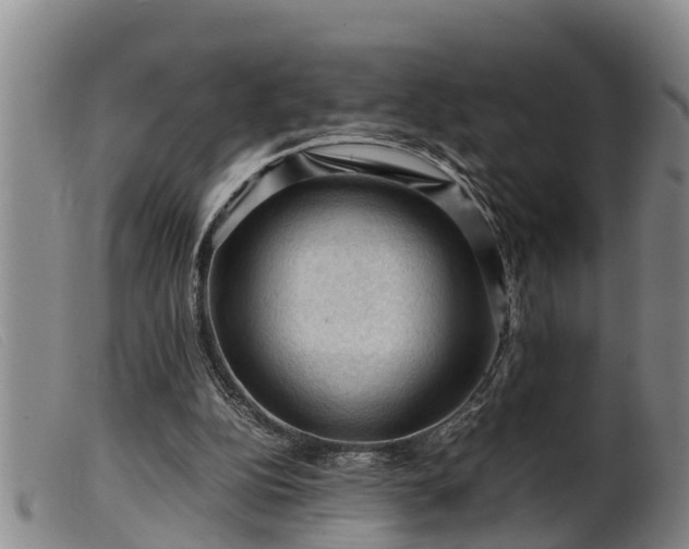 X0000099530152200805231110