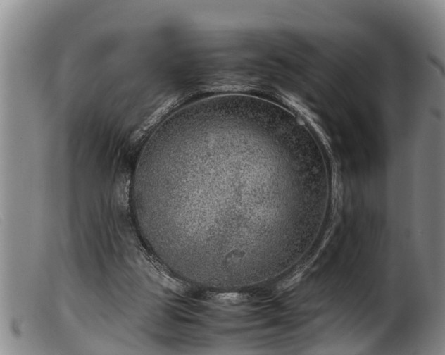 X0000099530153200805231110