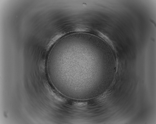 X0000099530155200805231110