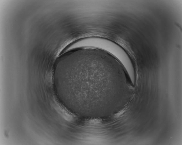 X0000099530156200805231110