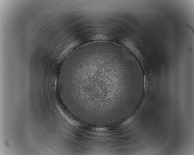 X0000099530157200805231110