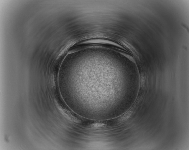 X0000099530158200805231110