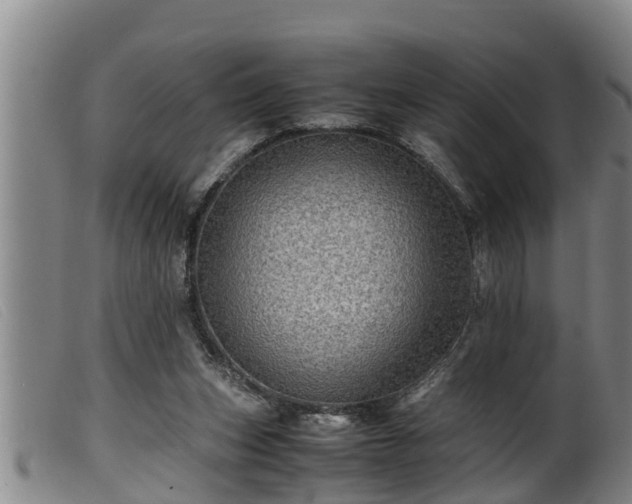 X0000099530159200805231110