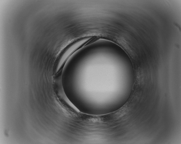 X0000099530160200805231110