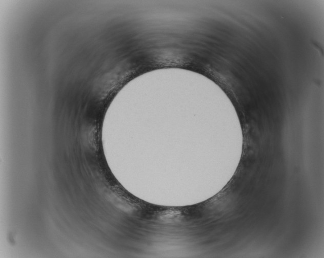 X0000099530162200805231110