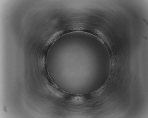 X0000099530163200805231110