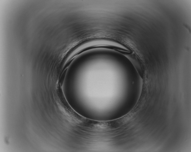 X0000099530164200805231111