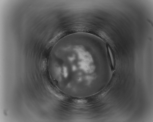 X0000099530165200805231111