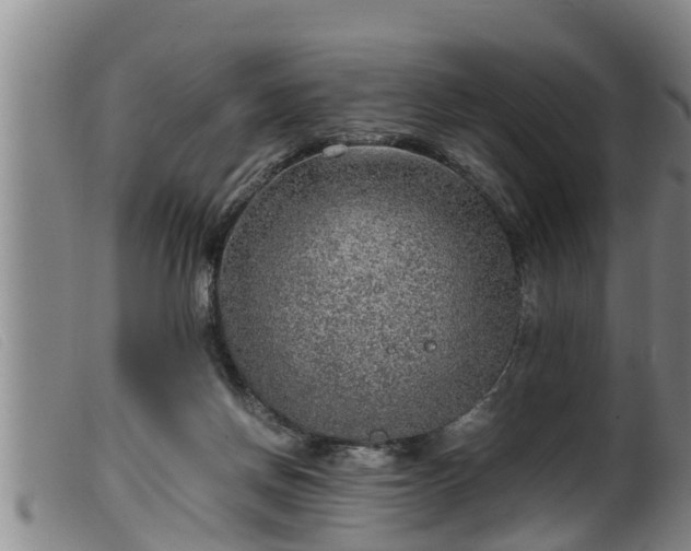 X0000099530166200805231111