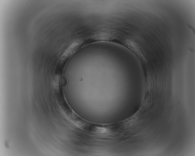 X0000099530167200805231111