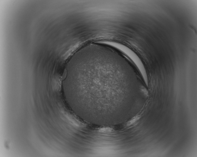 X0000099530168200805231111