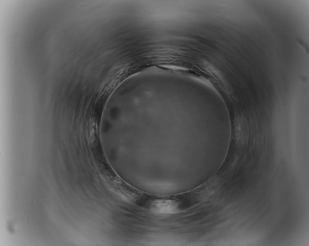 X0000099530169200805231111