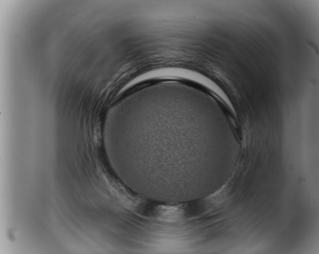 X0000099530170200805231111
