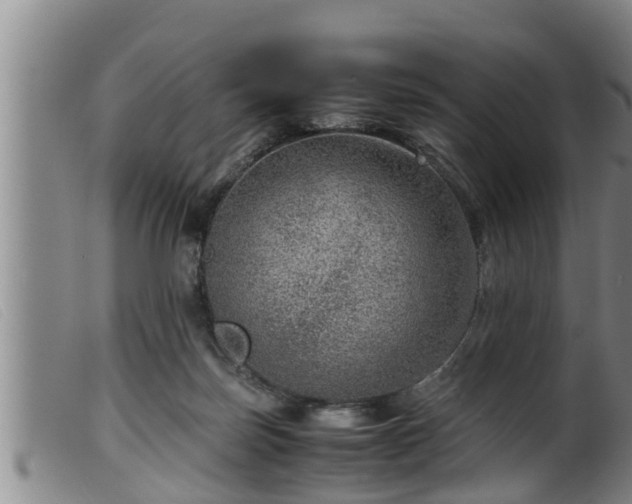 X0000099530171200805231111