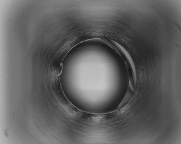 X0000099530172200805231111