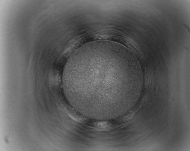 X0000099530173200805231111