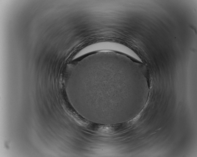 X0000099530174200805231111