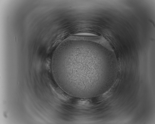 X0000099530175200805231111