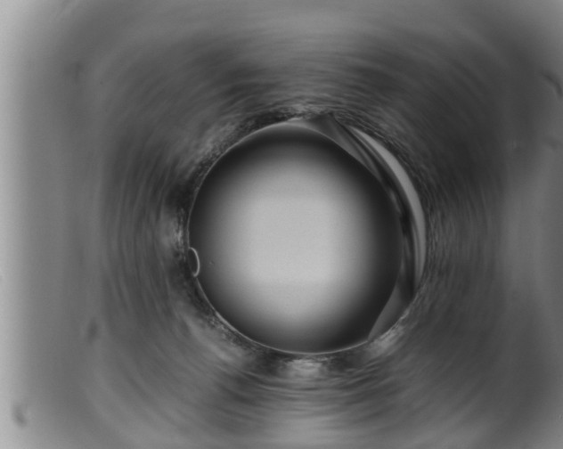 X0000099530176200805231111