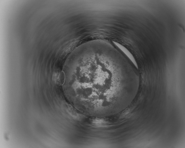 X0000099530177200805231111