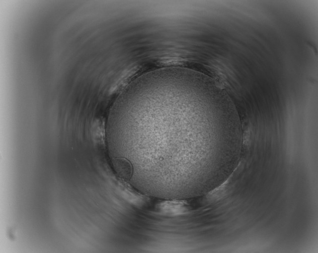 X0000099530179200805231111