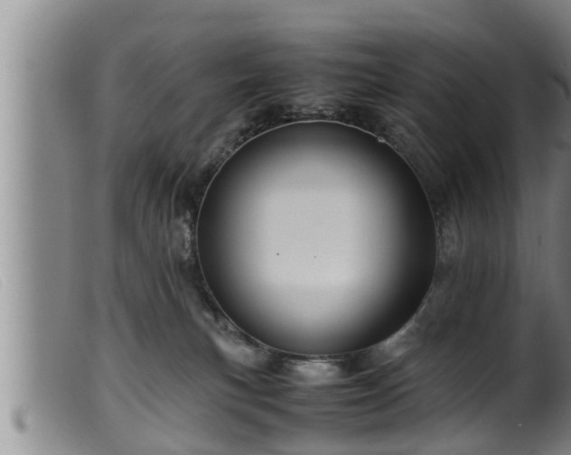X0000099530183200805231111