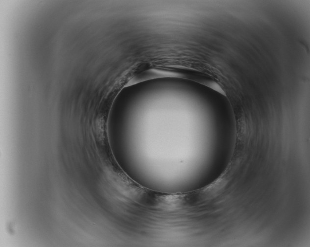X0000099530184200805231111