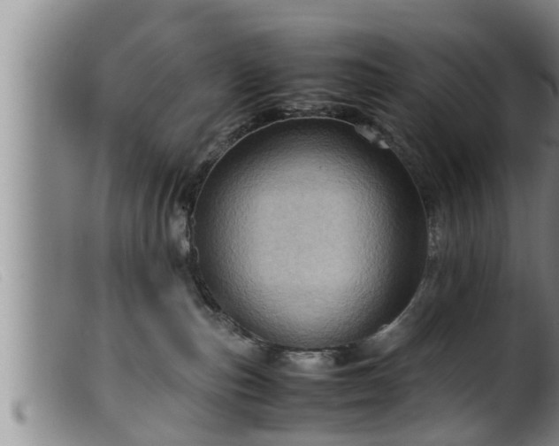 X0000099530187200805231111