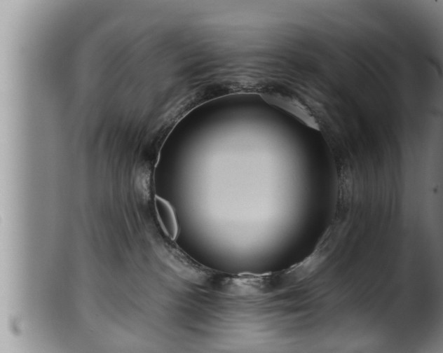 X0000099530188200805231111