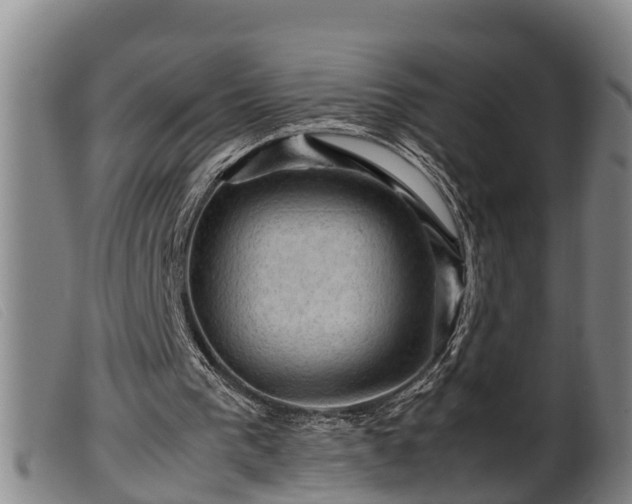 X0000099530193200805231110