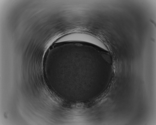 X0000099530196200805231110