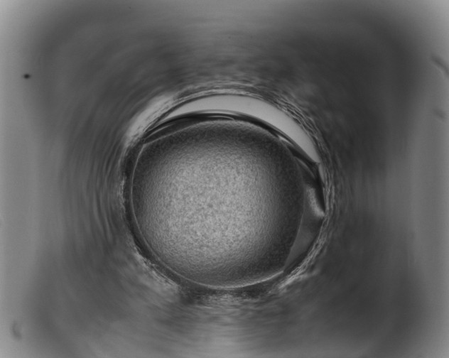 X0000099530197200805231110
