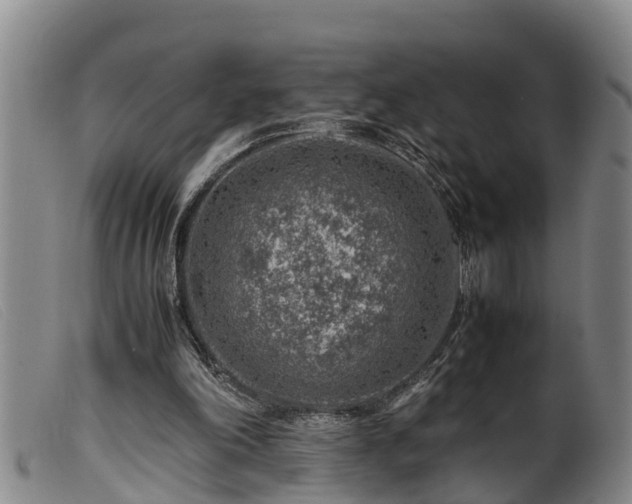 X0000099530198200805231110