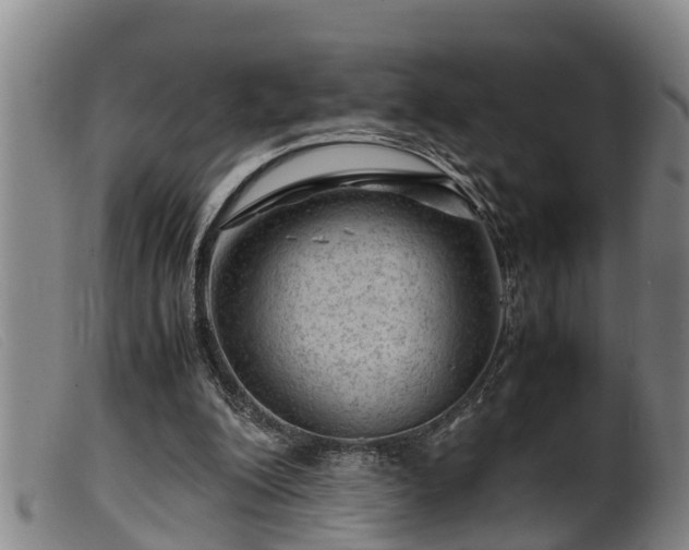 X0000099530200200805231110