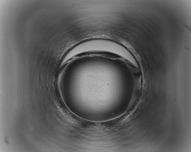 X0000099530201200805231110