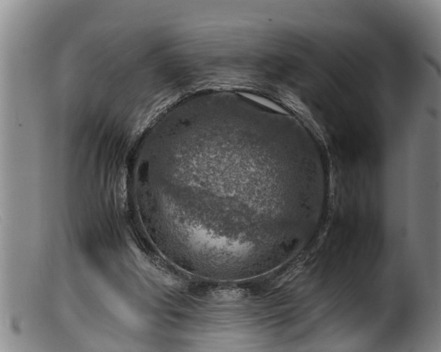 X0000099530202200805231110
