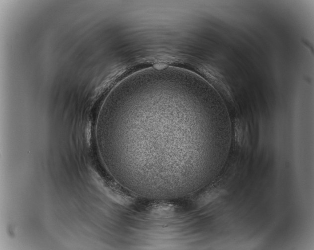 X0000099530206200805231110
